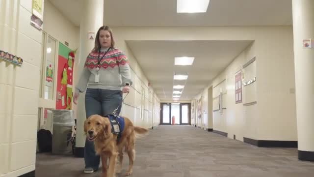 Mount Tabor Elementary adds therapy dog Mia to school program