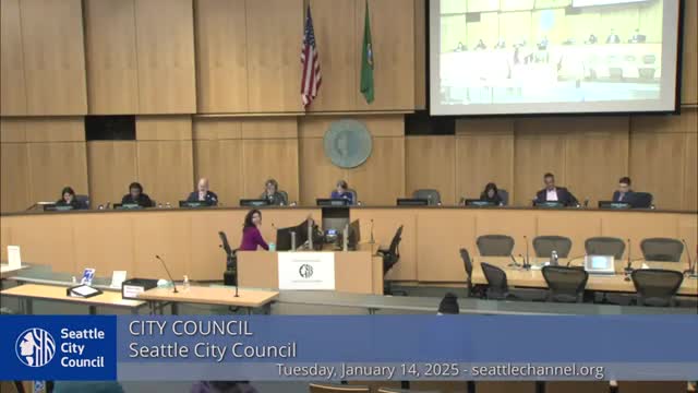 Public commenters urge council to reconsider 'Pay Up' impact and oppose reinstating less‑lethal weapons