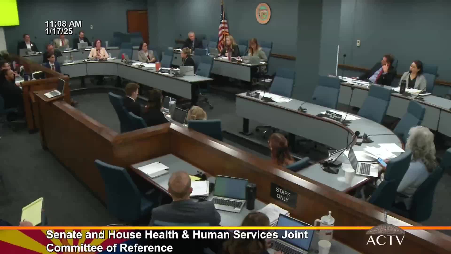 Committee reviews sunset audits, votes to continue most boards and to consolidate the Massage Therapy Board