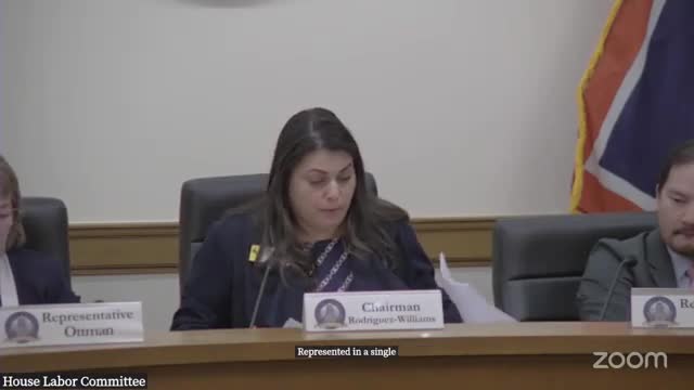 Committee hears bill to require Wyoming licensure for reviewers who decide prior-authorizations; no vote taken