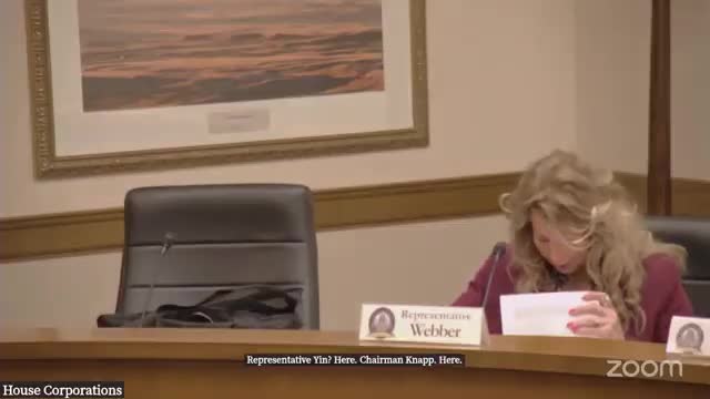 Wyoming committee advances bill declaring certain out‑of‑state driver credentials invalid for unauthorized immigrants