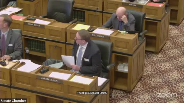 Senate advances bill aligning protection-order statutes, restores 72-hour hearing period