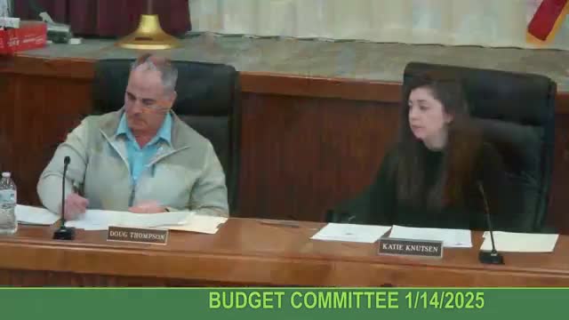 Plaistow budget committee backs $25,000 cell‑tower reserve deposit and funding to create communications specialist post