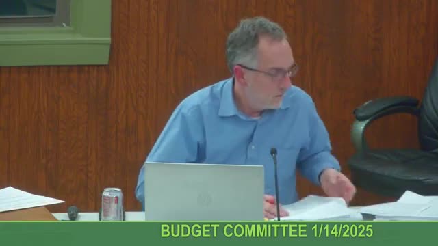 Committee questions how ambulance revenue should be accounted — enterprise fund or fiduciary pass‑through?