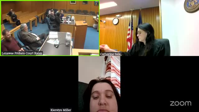 Court hears shocking testimony on child neglect and domestic violence in custody case