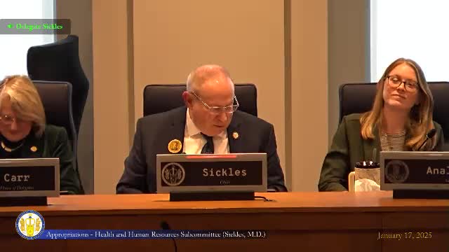 Virginia Social Services commissioner urges investments in child‑protective staffing, kinship and technology