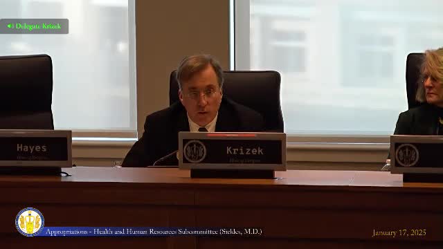 Virginia officials address adoption challenges as 1100 children await permanent homes