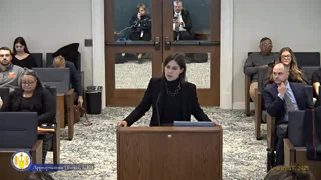 Virginia education official says governor's budget and policy levers could clear 7,000 early-childhood slots