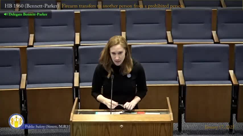 Committee advances bill to require record of firearm transfers by people under domestic abuser convictions or protective orders