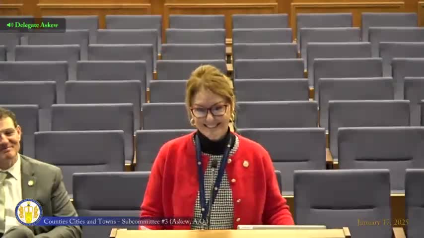 Subcommittee tables bill strengthening enforcement against unpermitted commercial use of public space