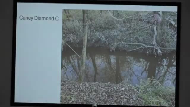 Environmentalists warn of endangered wood stork habitat loss near Caney Creek solar site