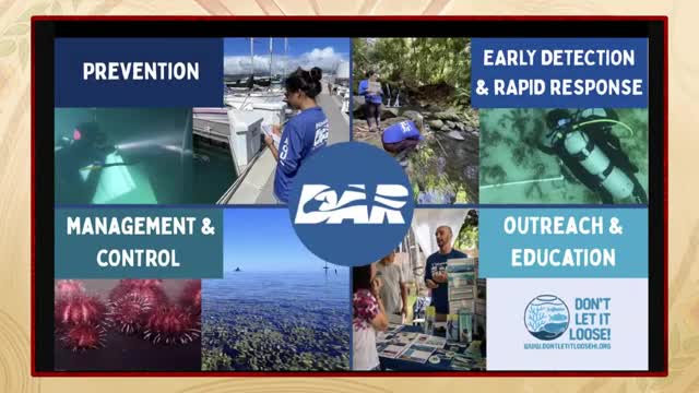 Hawaii's Division of Aquatic Resources battles invasive species amid rising environmental threats