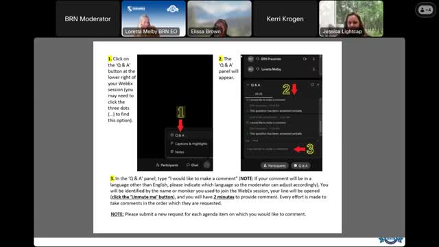 BRN advisory committee debates draft Clinical Nurse Specialist regulations, title protection and program approval paths
