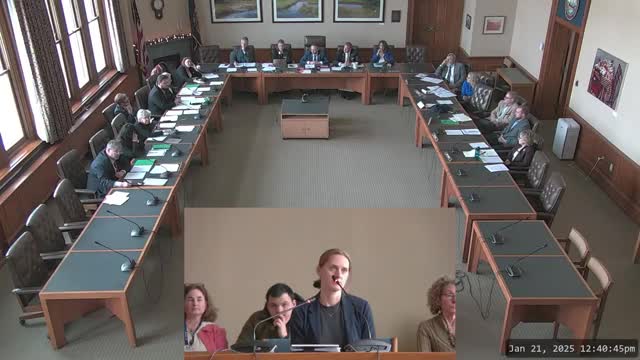 New Hampshire tenants testify against housing bill citing discrimination and rights violations