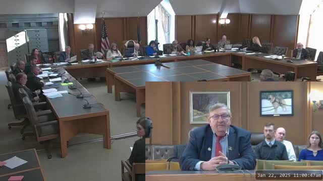 New Hampshire lawmakers consider Charlotte's Law to criminalize child neglect after tragic cases