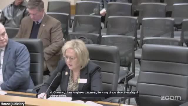Wyoming House Bill 43 mandates age verification to shield children from online pornography