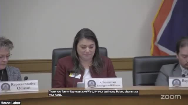 Wyoming residents clash over House Bill 64 amid abortion debate and personal testimonies