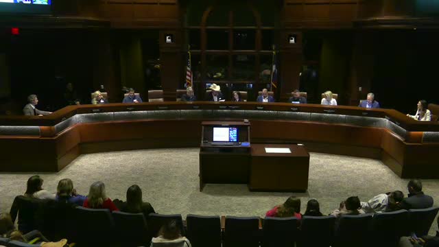 Colleyville honors fourth grader Danielle Ernst as Mayor for a Day