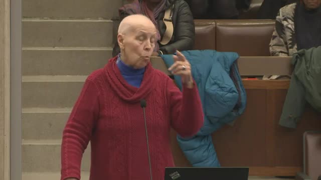 City Council questions $91 million project tied to private investor at Millennium Park