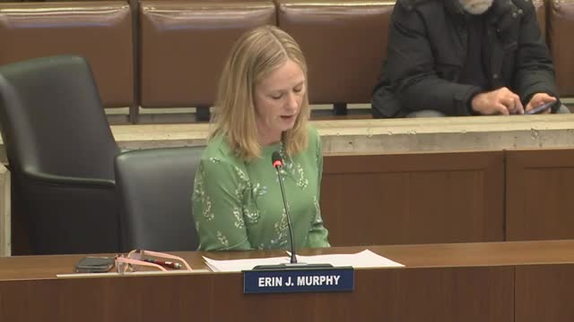 Boston City Council debates $100 million White Stadium renovation amid community concerns