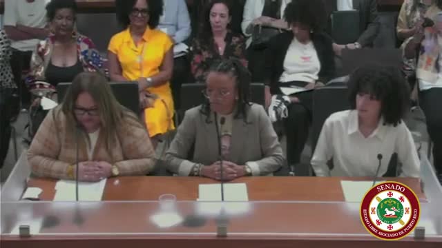 Puerto Rico mothers advocate for anti-discrimination law protecting natural hairstyles in schools