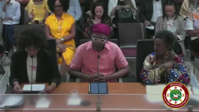 Puerto Rico advocates push for Senate Bill 282 to combat hair discrimination and racism