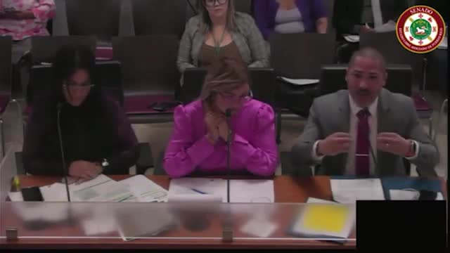 Educación Especial en Puerto Rico lanza guías para enfrentar emergencias académicas