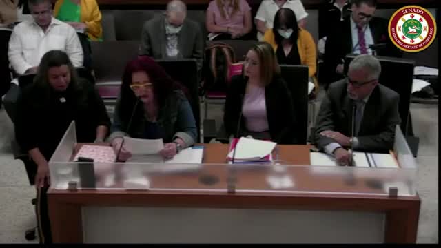 Puerto Rican teachers demand justice amid bureaucratic hurdles in career advancement process