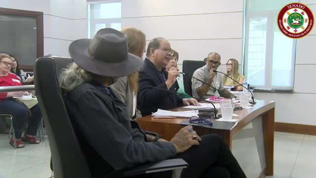 Puerto Rico seeks to regulate short-term rentals amid rising illegal hotel concerns