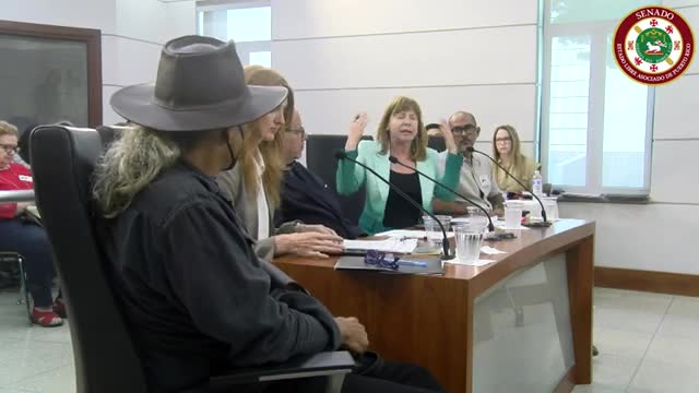 Puerto Rico debates legislation to regulate short-term rentals and prevent community displacement