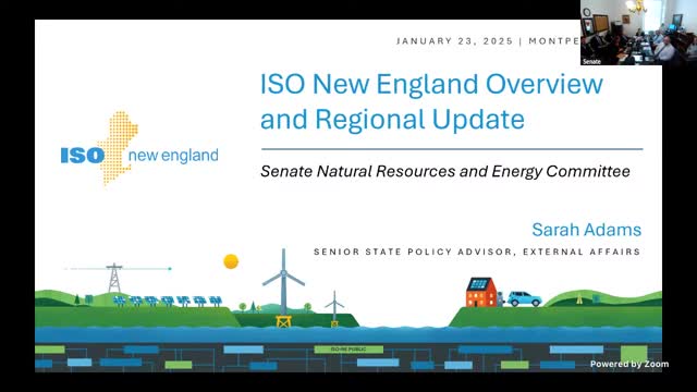 ISO New England briefs Senate Natural Resources & Energy on grid reliability, markets and planning