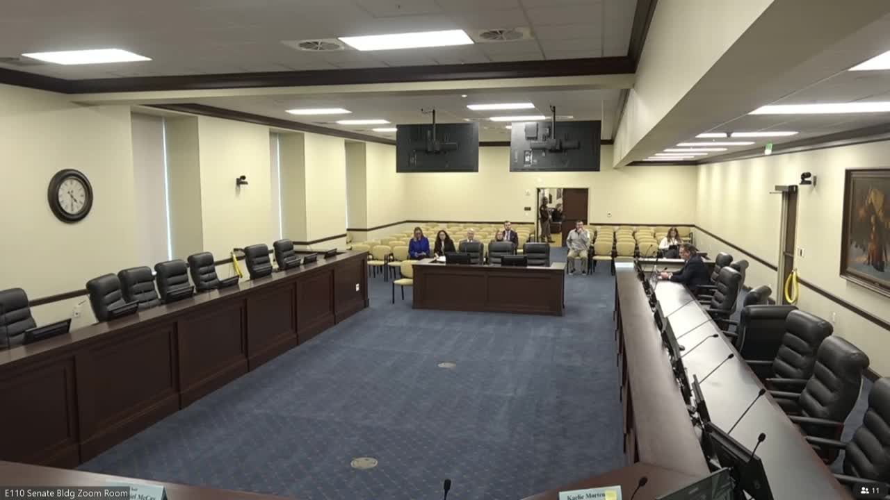 Senate committee unanimously recommends Deanna Herring as Utah State Tax Commission executive director