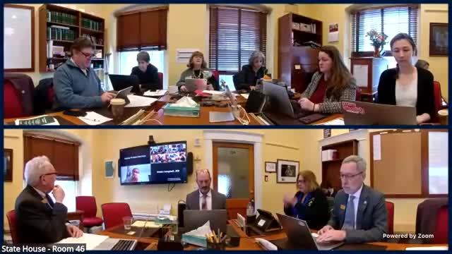 Joint Fiscal Office, AHS give committee a Medicaid 101 and outline Vermont's 1115 'Global Commitment authority