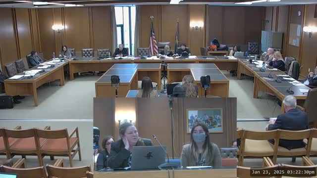 New Hampshire lawmakers debate drug checking bill amid public health concerns