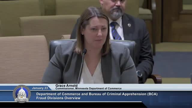 Minnesota officials merge financial crime teams to combat $500 million fraud crisis
