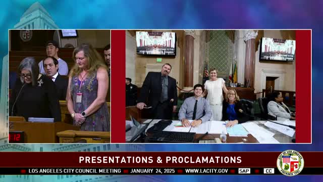 City Council roundup: street‑lighting vote, housing measure, emergency tax‑relief motion and two Rule 23 emergency motions pass