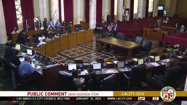 Angry residents confront LA City Council over fire response and leaf blower regulations