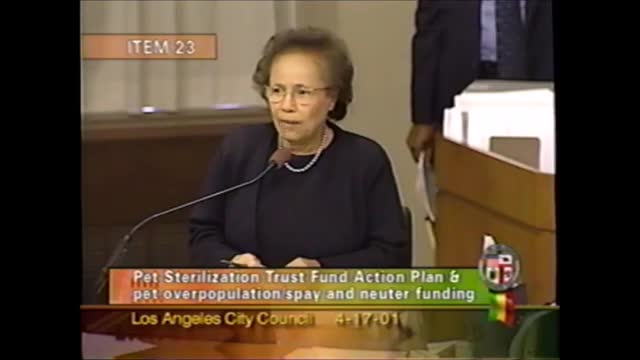 City Council confronts $1M in unspent funds for pet sterilization amid stray dog crisis
