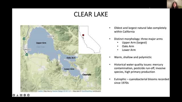 Clear Lake study reveals alarming rise in toxic cyanobacterial blooms and environmental impacts