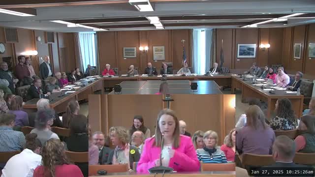 New Hampshire teens and healthcare workers rally against proposed 15-week abortion ban