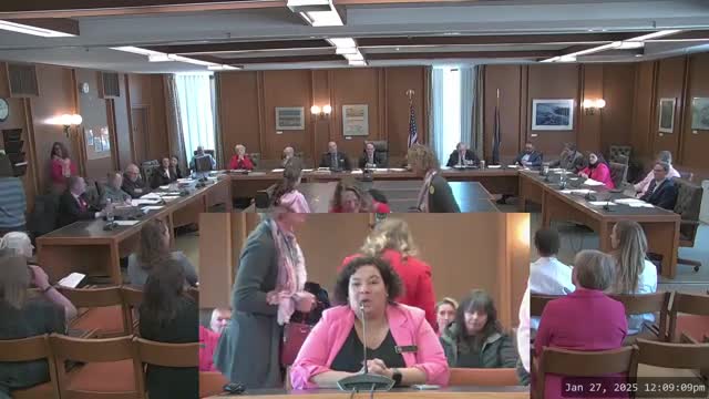 New Hampshire residents rally against HB 476 abortion ban citing health and domestic violence concerns