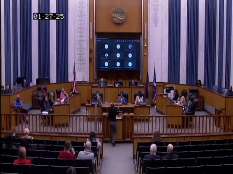 Public speakers press Richmond council on homelessness; propose land remediation pilot for affordable housing