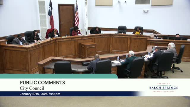 Bald Springs council debates Wanda Adams' controversial appointment to Civil Service Commission