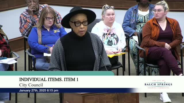 City Council Faces Controversy Over Appointment of Wanda Adams Amid Online Bullying Claims