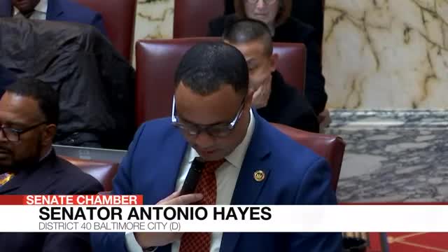 Maryland Senate passes key bills on mental health, cannabis advisory, and public safety reforms