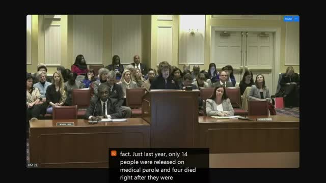 Long hearing on SB292: sponsor proposes recategorizing minor traffic infractions as secondary stops to reduce disparities; law‑enforcement and prosecutors urge,