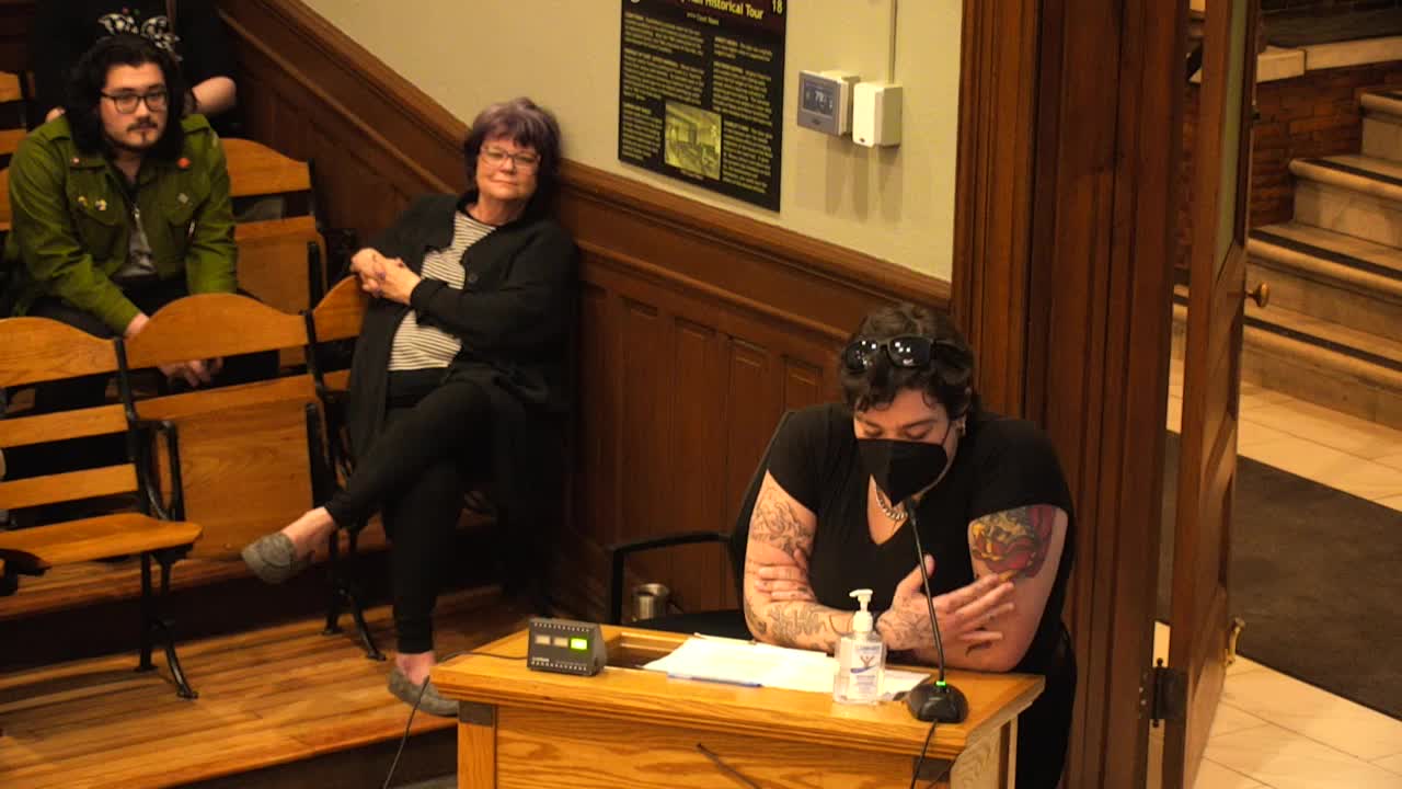 City Council debates free speech and safety amid tensions over Palestine-Israel resolution