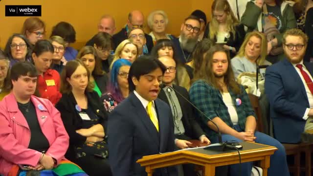 Kansas youth advocate urges lawmakers to protect gender affirming care for minors