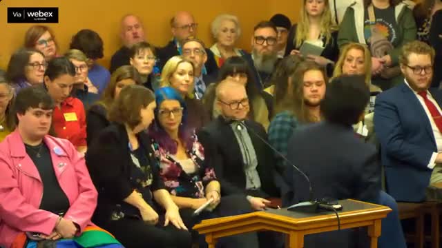 Leawood residents testify against bill limiting gender affirming care for minors