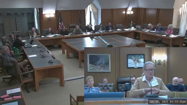 New Hampshire residents rally against proposed landfill near Forest Lake State Park